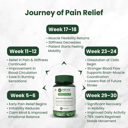 Masterstroke Supplements  Pack of 120 (2 Months)