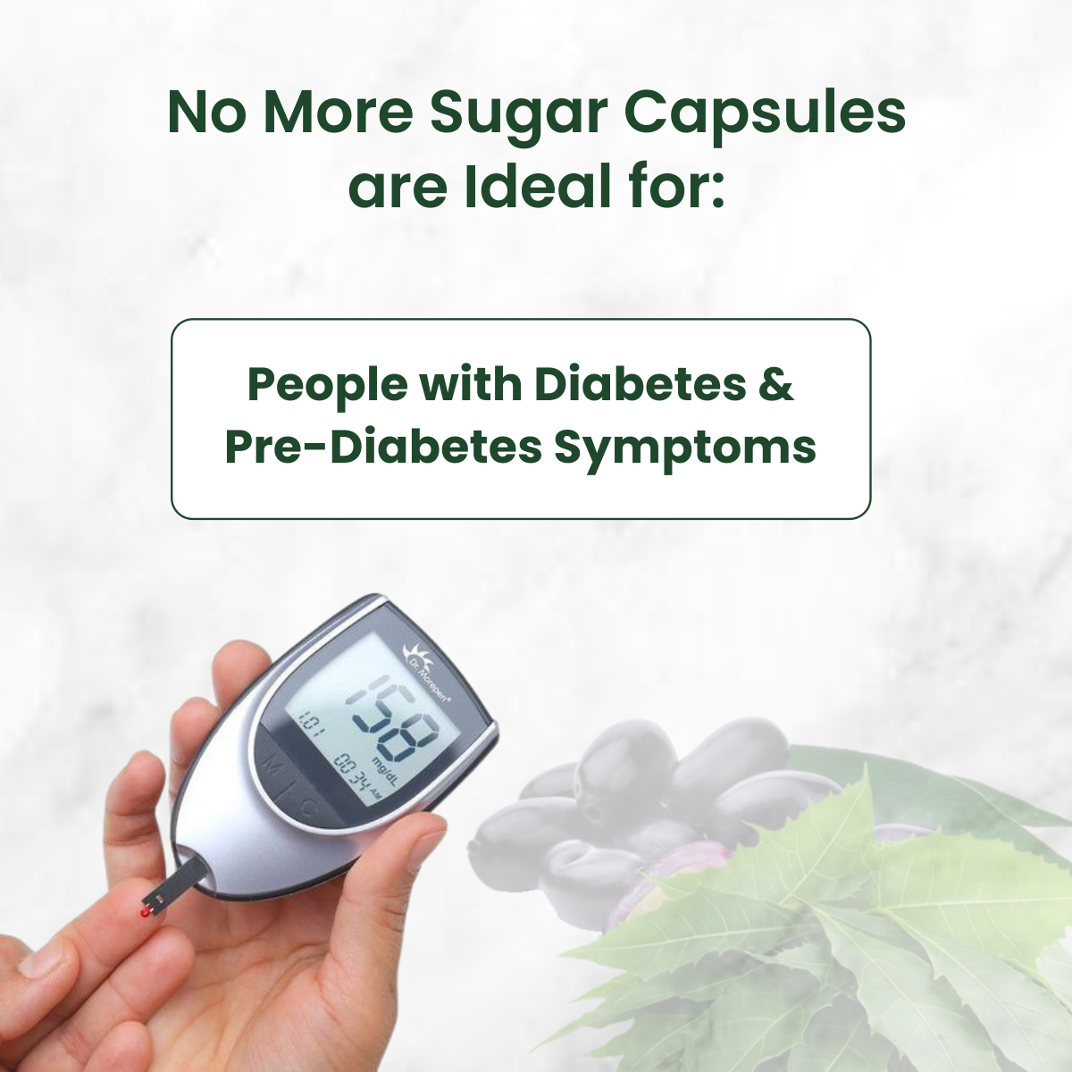 No More Sugar Supplements