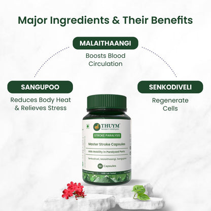 Master Stroke Supplements