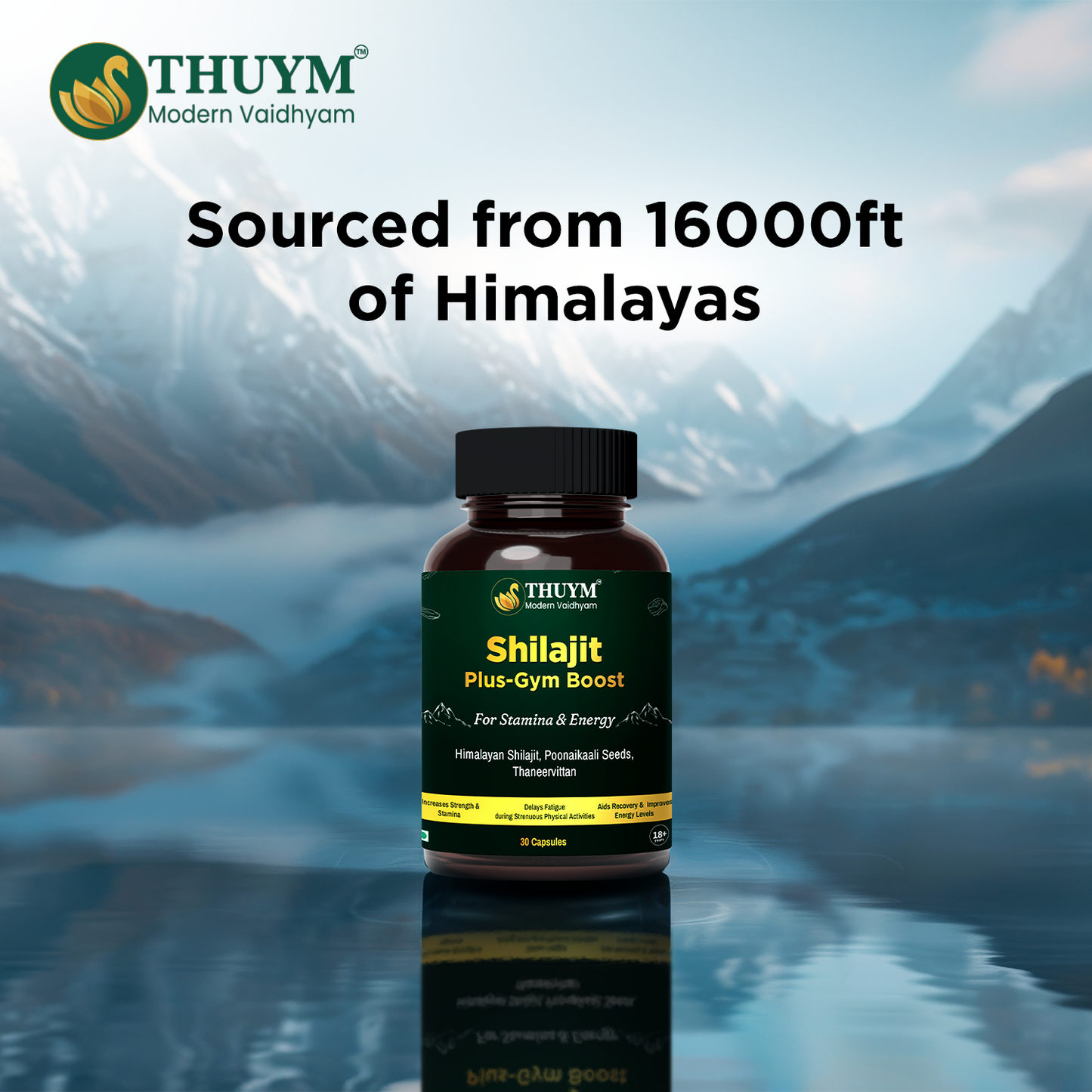 Shilajit Plus -Gym Boost Supplements