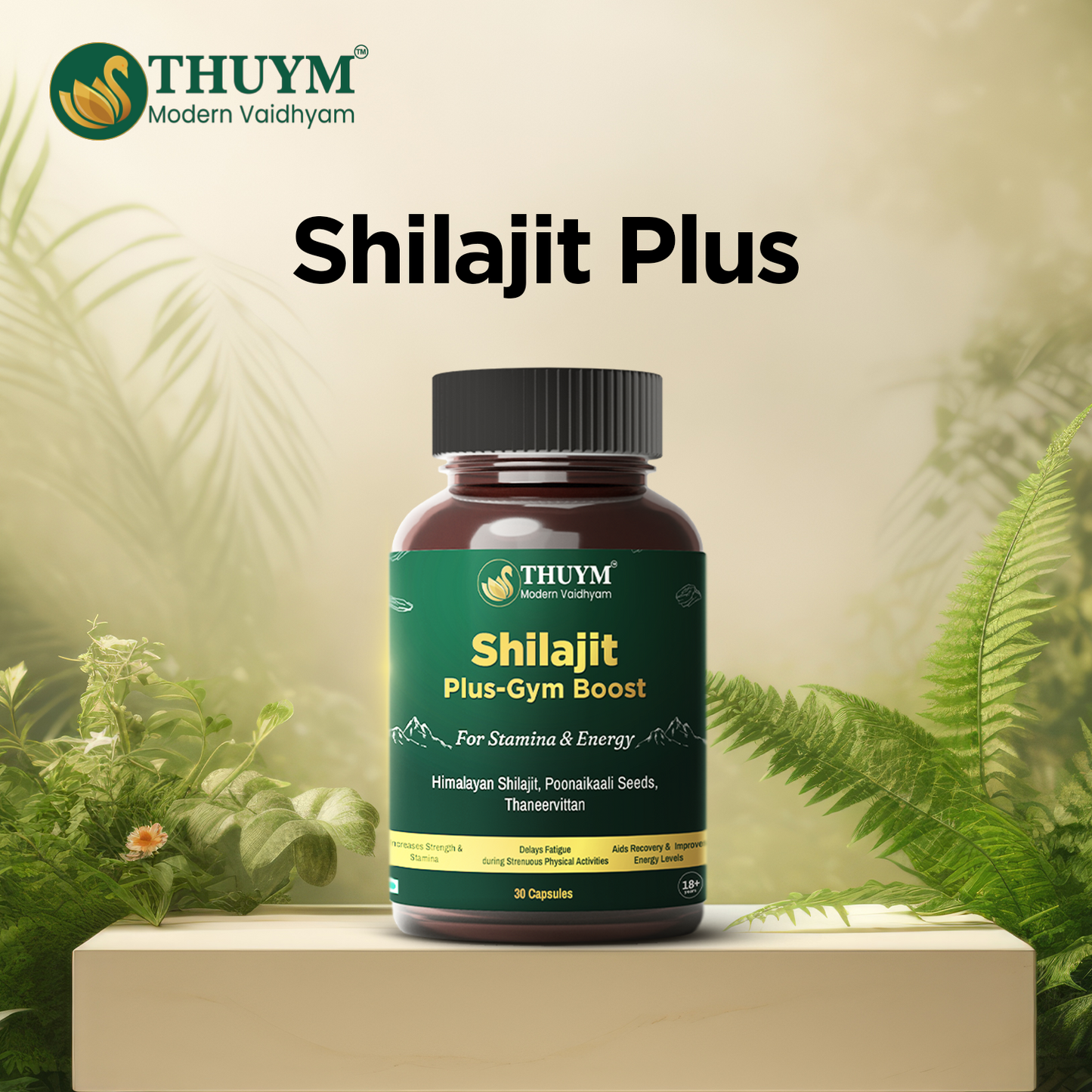 Shilajit Plus -Gym Boost Supplements